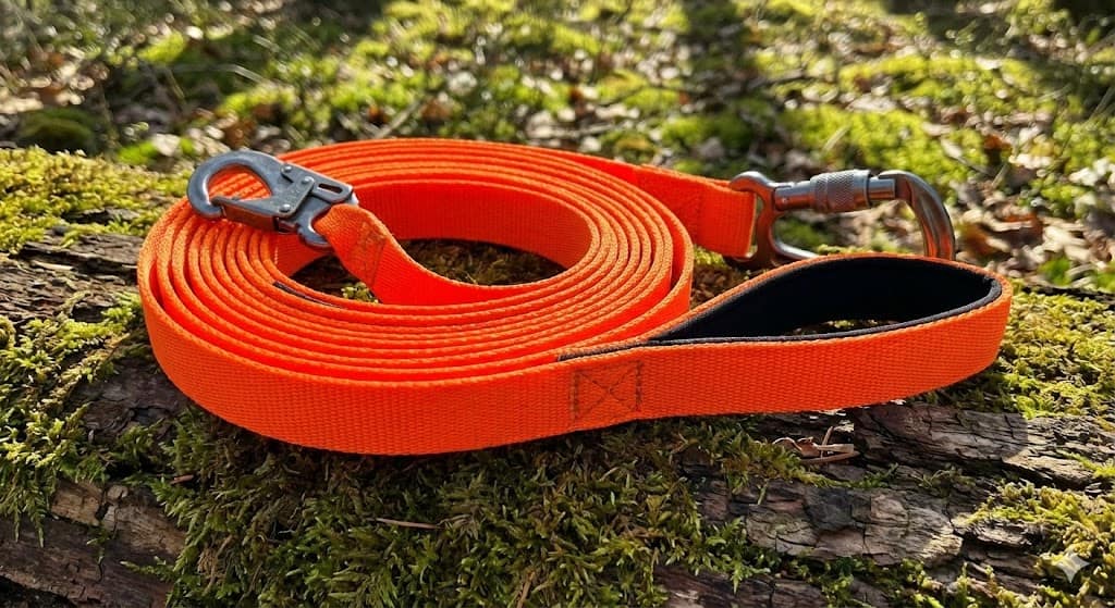 Longe de pistage fluorescente orange de 10 mètres, enroulée sur un tronc d'arbre moussu en forêt, avec mousqueton métallique robuste et poignée rembourrée.