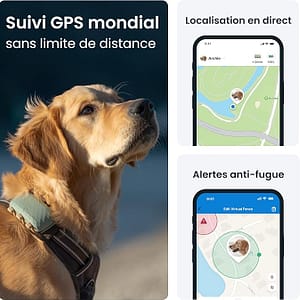 Tracker GPS Tractive pour chien avec clip de fixation - Localisation temps réel anti-fugue