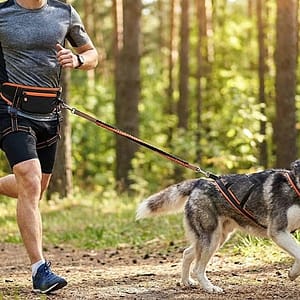 Homme pratiquant le canicross avec son chien Husky sur un chemin forestier, portant la ceinture de traction technique Wooofky.