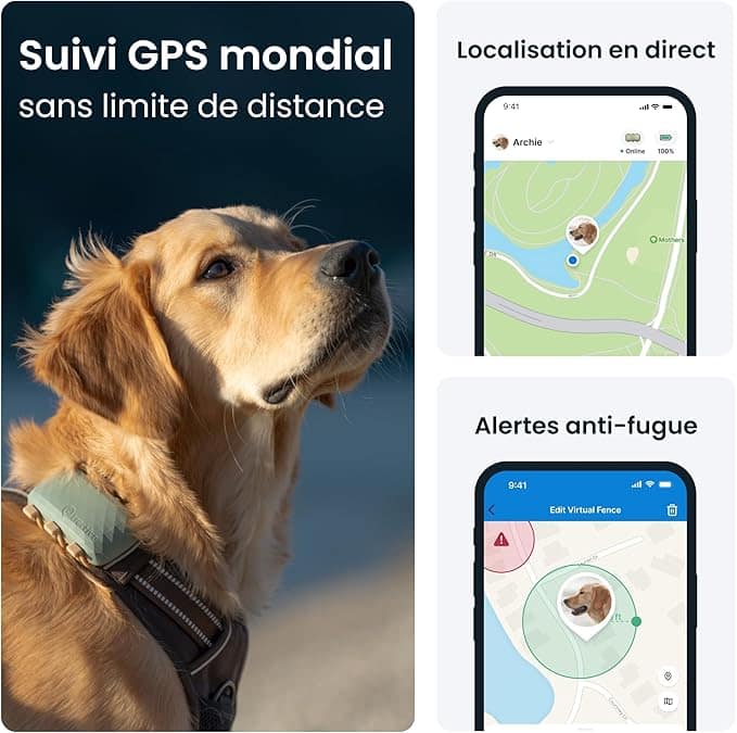 Tracker GPS Tractive pour chien avec clip de fixation - Localisation temps réel anti-fugue